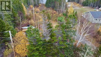 Commercial for Sale in British-columbia