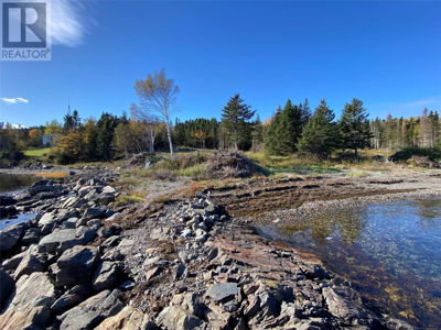 Image #1 of Commercial for Sale at 9 Birchy Point, Campbellton, Newfoundland & Labrador