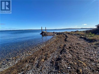 Image #1 of Commercial for Sale at 9 Birchy Point, Campbellton, Newfoundland & Labrador