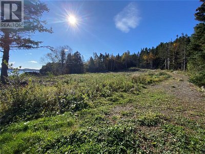 Image #1 of Commercial for Sale at 9 Birchy Point, Campbellton, Newfoundland & Labrador