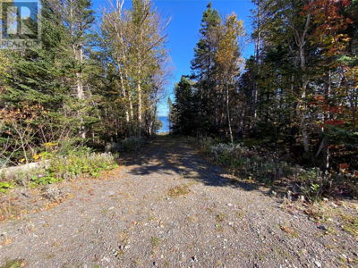 Image #1 of Commercial for Sale at 9 Birchy Point, Campbellton, Newfoundland & Labrador