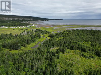 Commercial for Sale in Newfoundland-and-labrador