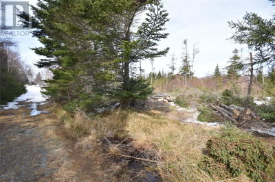 Commercial for Sale in Newfoundland-and-labrador