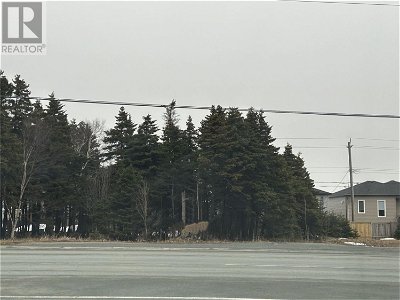 Image #1 of Commercial for Sale at 131-133 Commonwealth Avenue, Mount Pearl, Newfoundland & Labrador