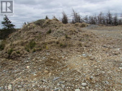 Commercial for Sale in Newfoundland-and-labrador