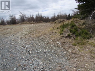 Commercial for Sale in Newfoundland-and-labrador