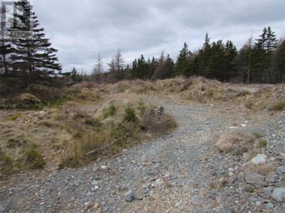 Commercial for Sale in Newfoundland-and-labrador