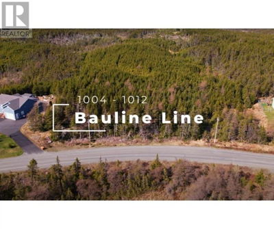 Commercial for Sale in Newfoundland-and-labrador