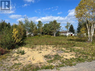 Commercial for Sale in Newfoundland-and-labrador