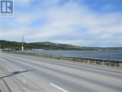 Businesses for Sale in Newfoundland-and-labrador