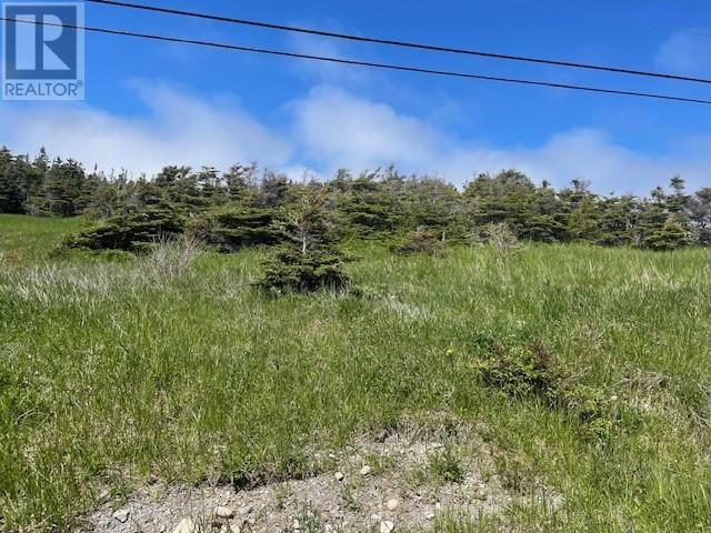 112 Felix Cove Road, Felix Cove, Newfoundland & Labrador A0N 1T0