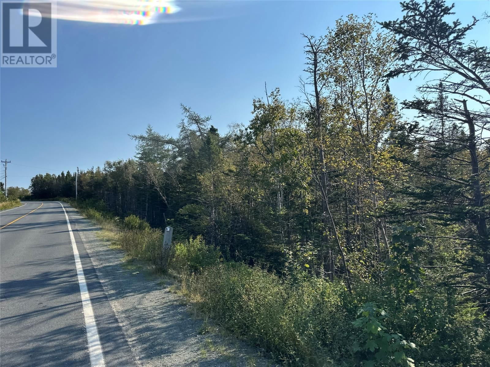 Primary Property View