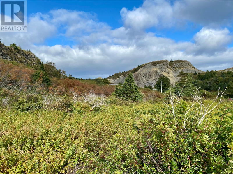 Tertiary Property View