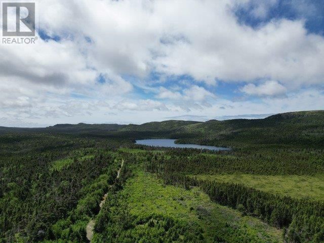 Tertiary Property View