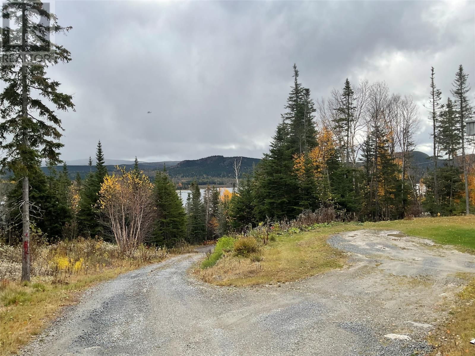 Lot 7 PINCHGUT Image 15