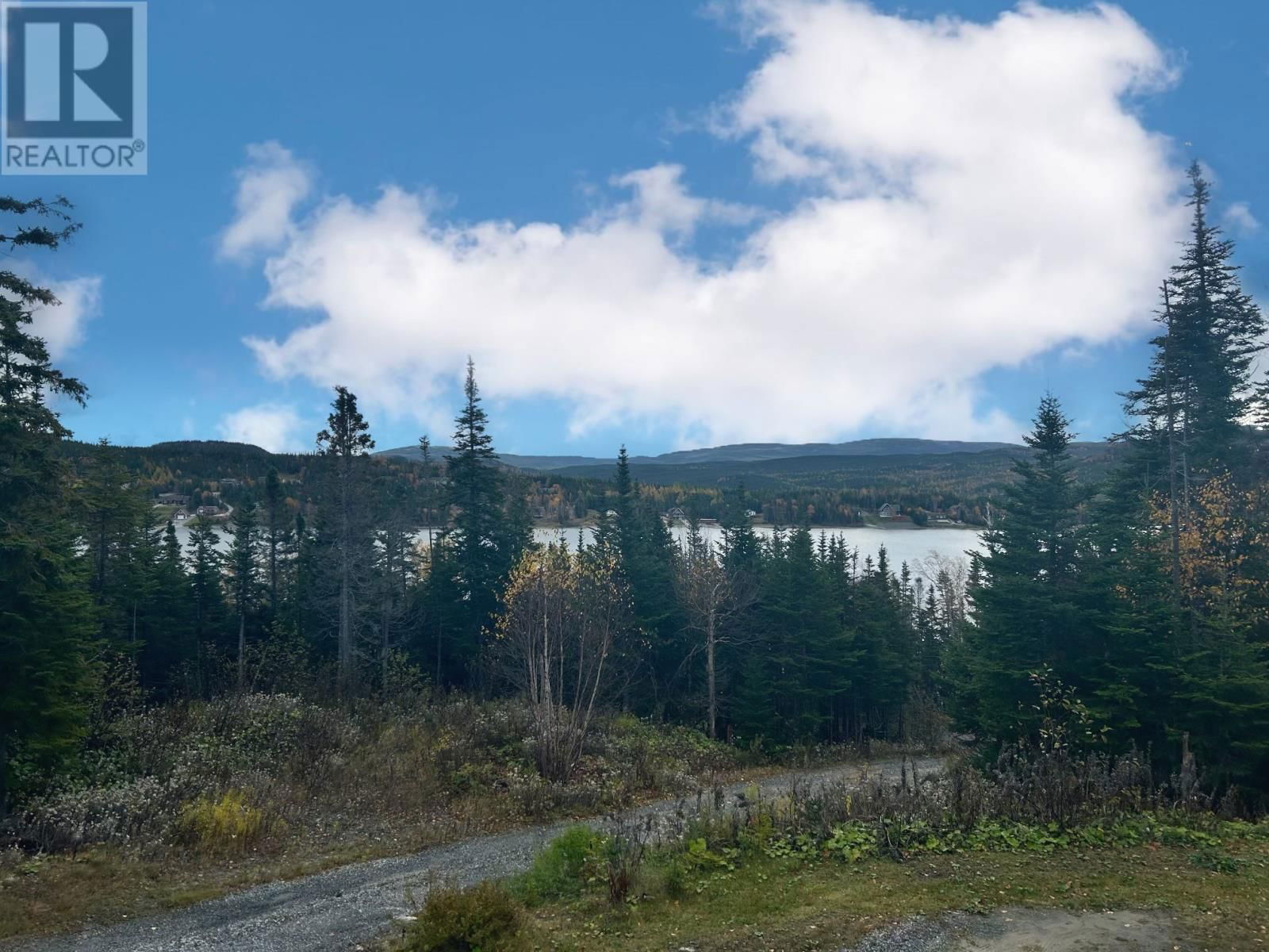 Lot 7 PINCHGUT Image 3