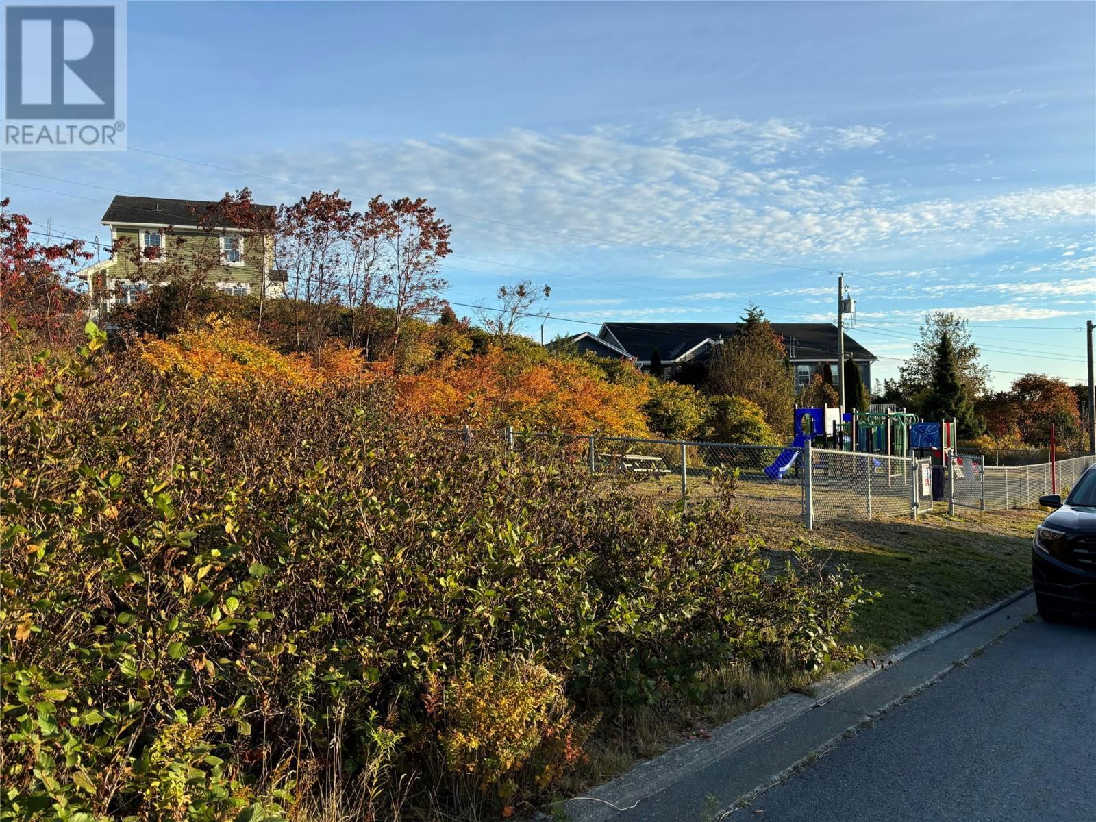 Primary Property View