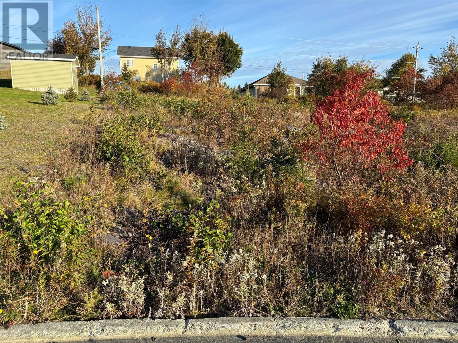Primary Property View