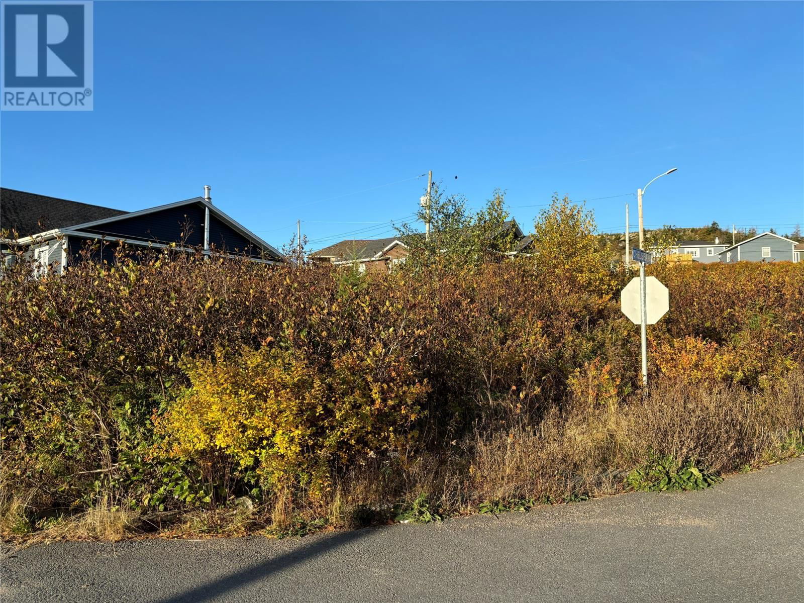 Primary Property View