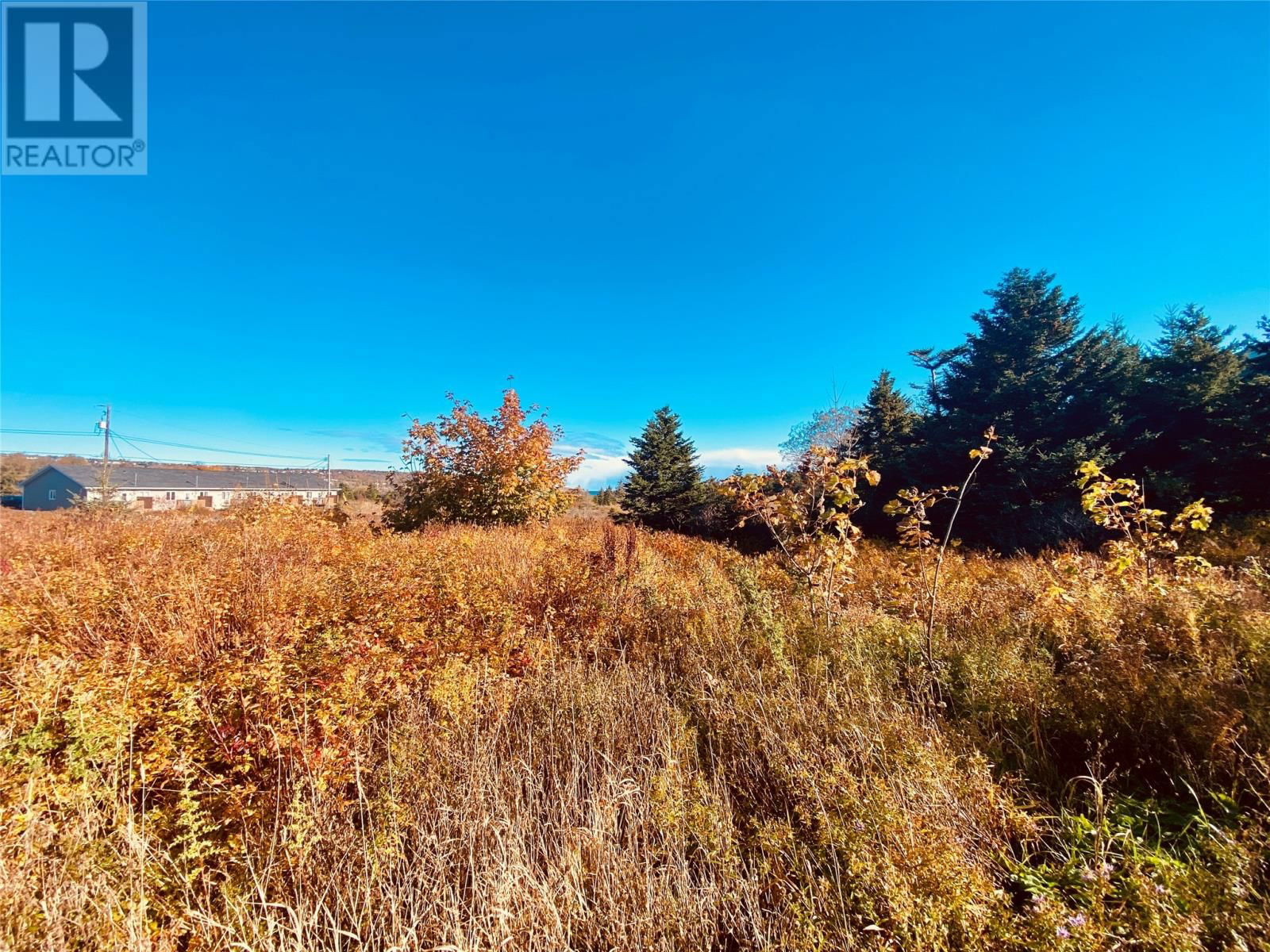 Primary Property View