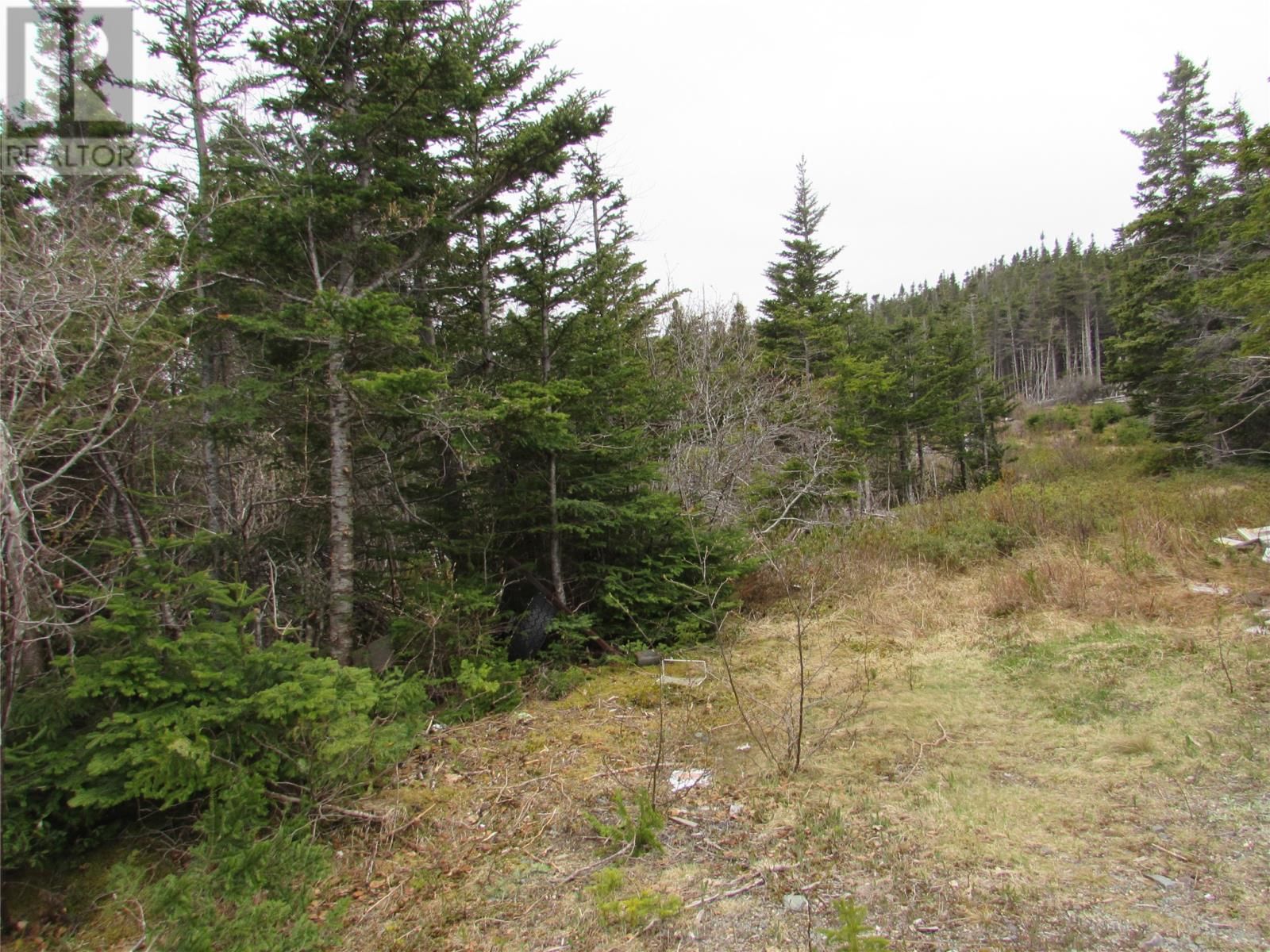 6 Country Lane, Conception Harbour, Newfoundland & Labrador A0A 1Z0