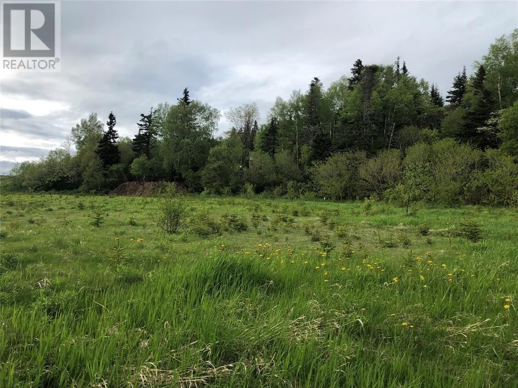LOT#2-6 UPPER TRANQUIL WATERS Road, REIDVILLE, Newfoundland & Labrador A8A 1Z4