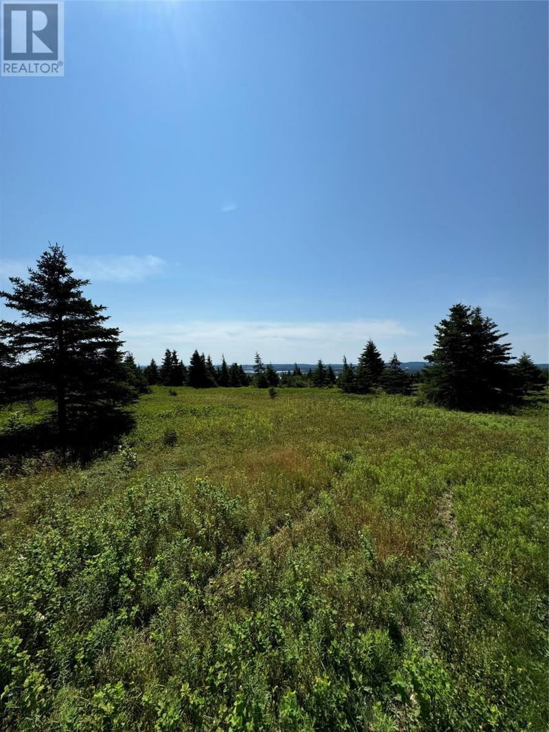 Tertiary Property View