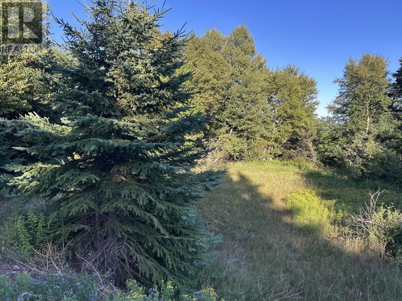  Main Road Victoria Cove Newfoundland & Labrador, A0G 4N0 - Waterfront Land For Sale
