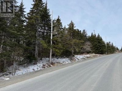  Saddle Hill | Carbonear Newfoundland & Labrador | Slide Image Two