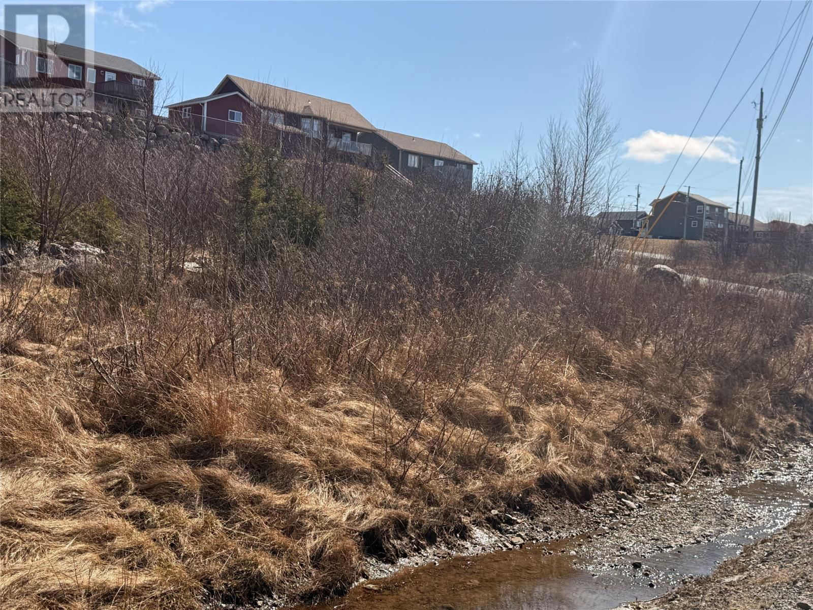 Primary Property View