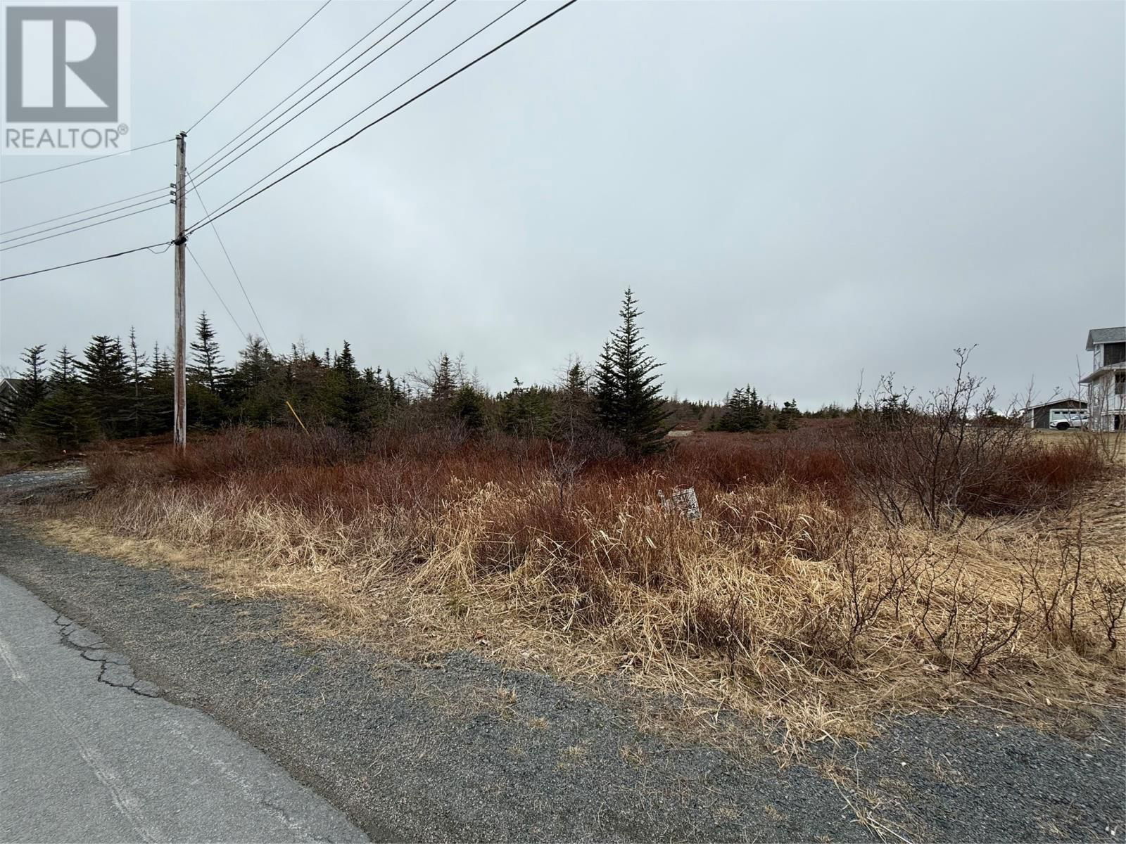 Primary Property View