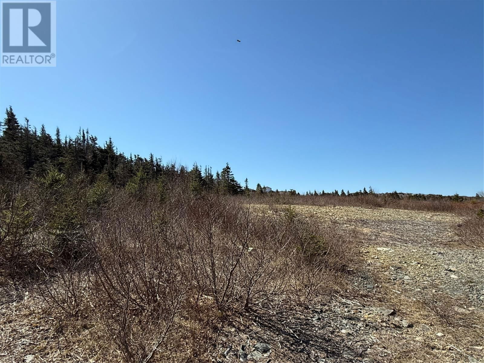 Primary Property View