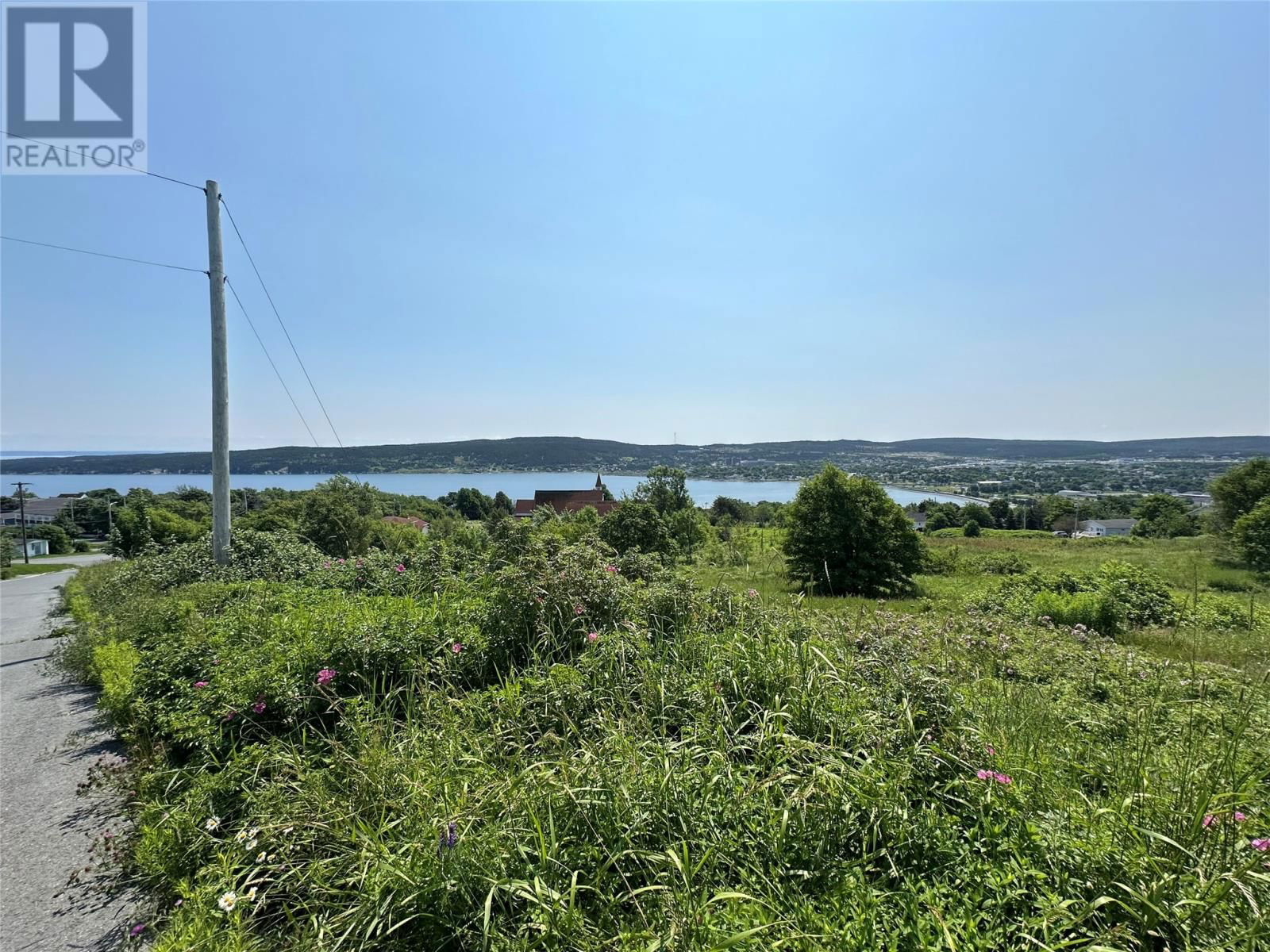Primary Property View