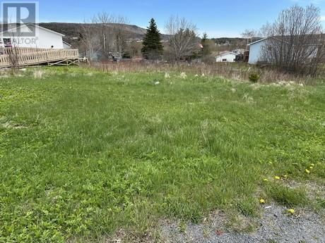 Tertiary Property View