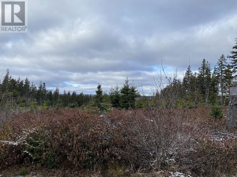 Tertiary Property View