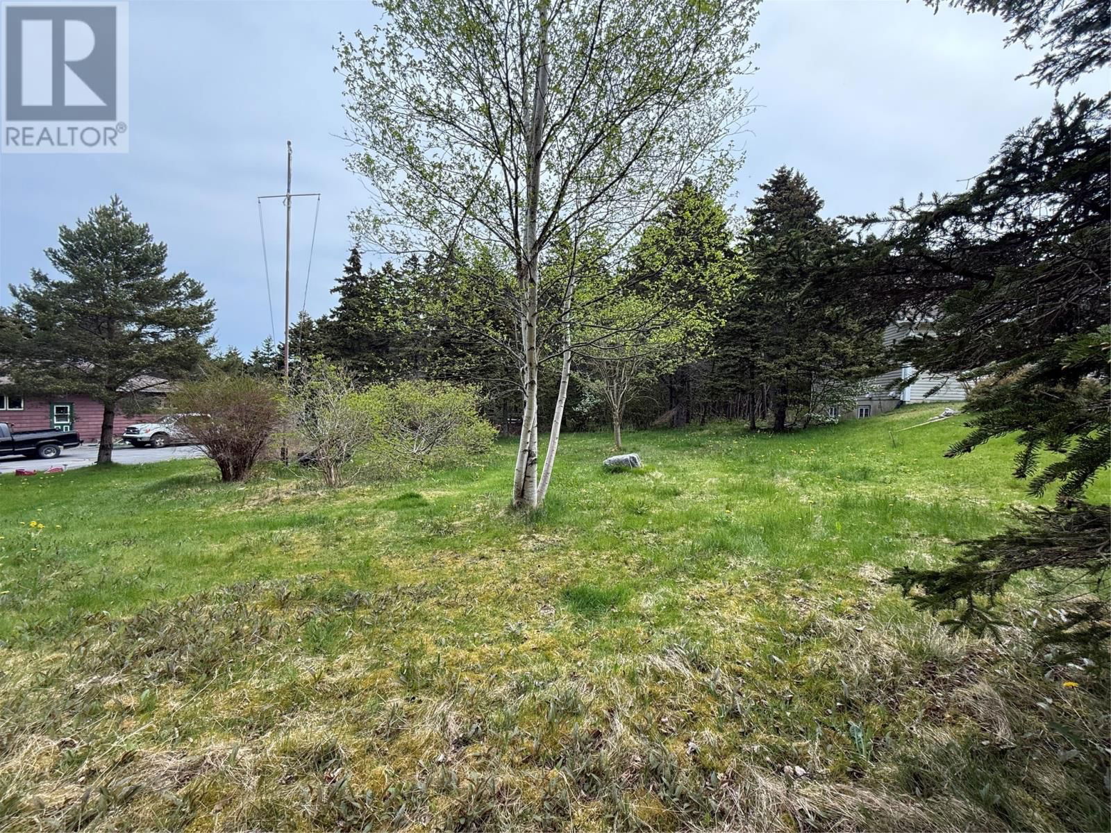 Primary Property View