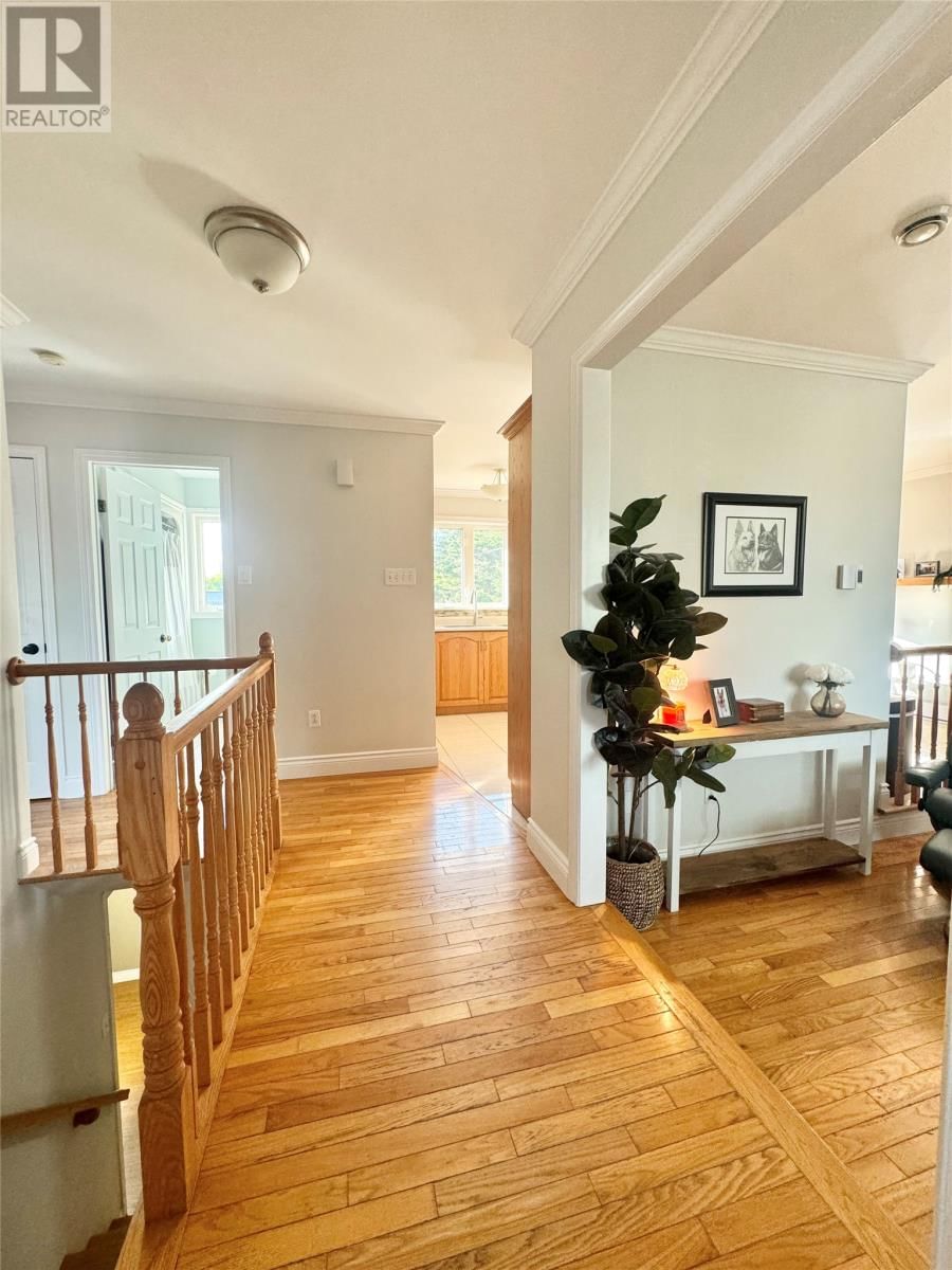 24 TREE TOP DRIVE Image 3