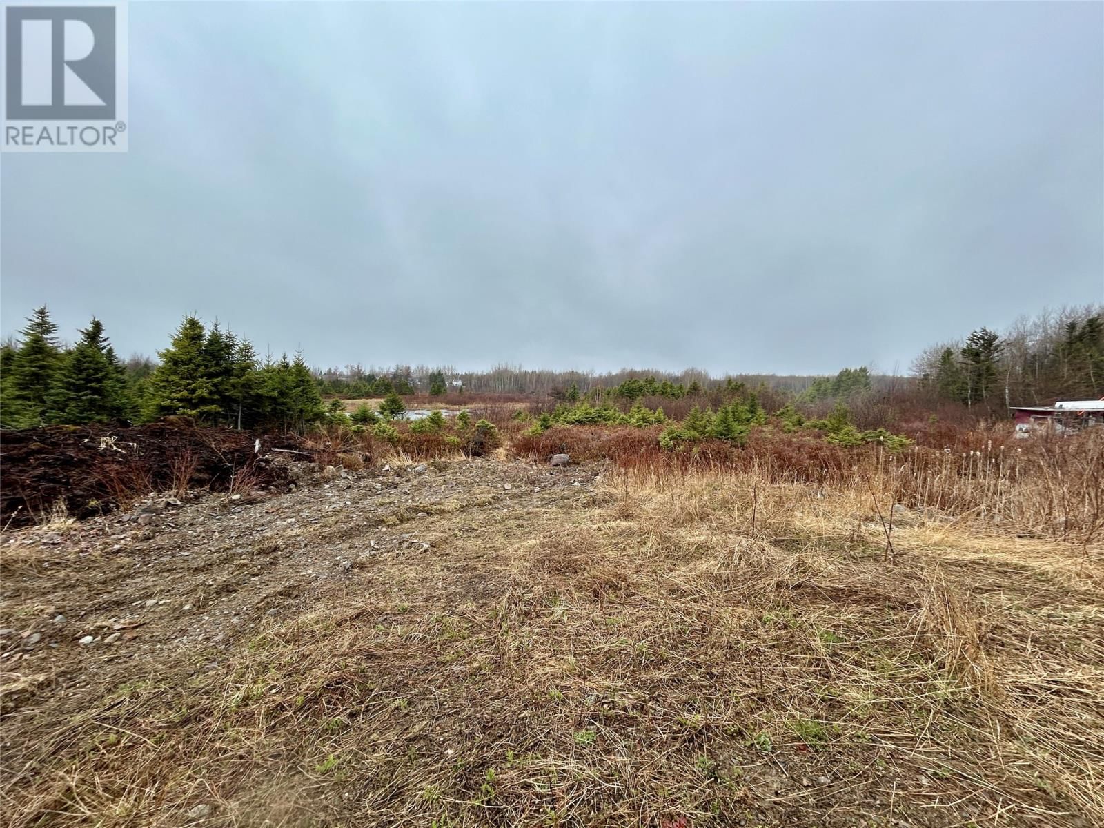 10 Kingston Road, Grand Falls-Windsor, Newfoundland & Labrador A2B 1E3
