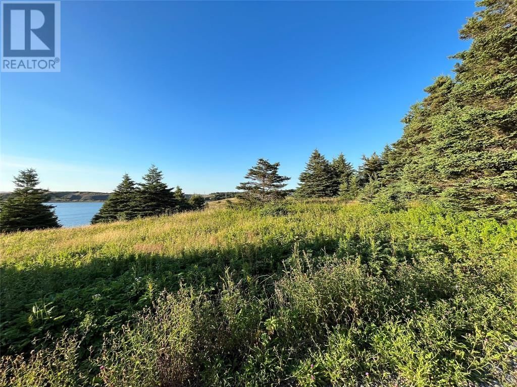 117 Cape Shore Highway, Point Verde, Newfoundland & Labrador A0B 2Y0
