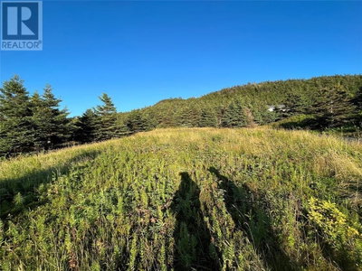 117 Cape Shore Highway | Point Verde Newfoundland & Labrador | Slide Image Three