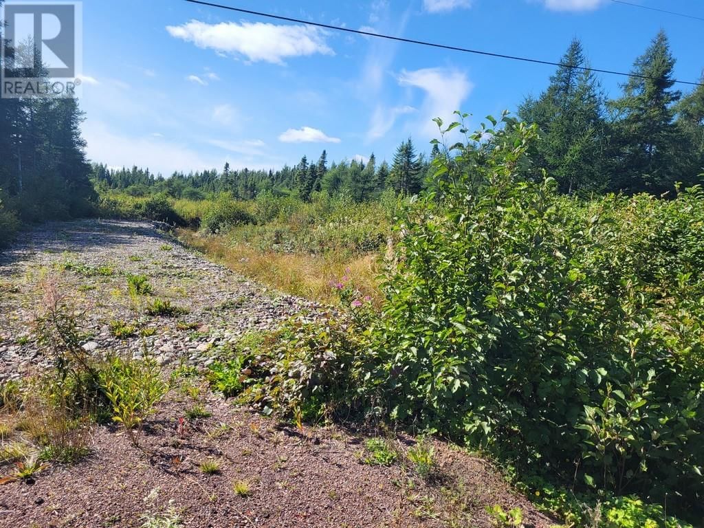 45 Main Street, Northern Arm, Newfoundland & Labrador A0H 1E0
