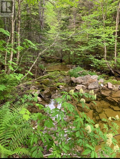  Loretto Road | Marches Point Newfoundland & Labrador | Slide Image Three