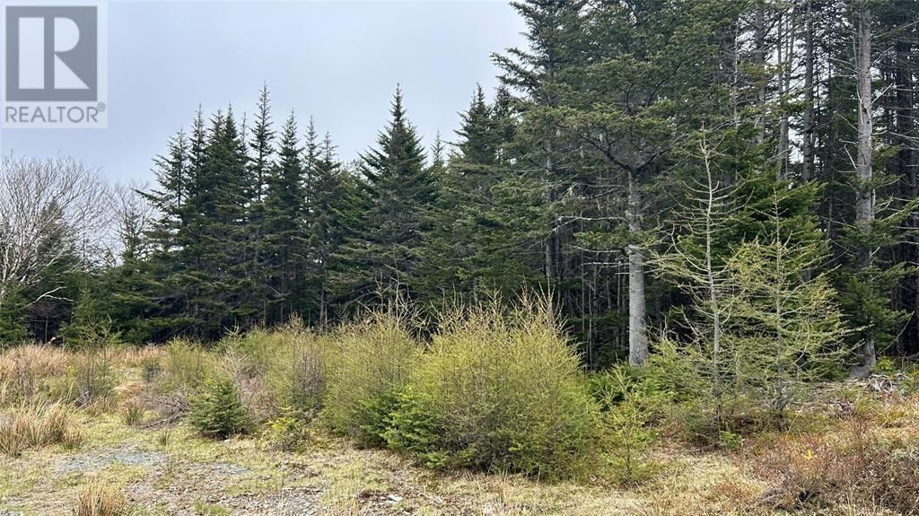  Strayaway Road, Blaketown, Newfoundland & Labrador A0B 1C0