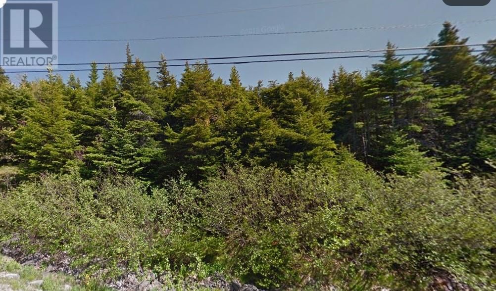 60-64 Doran's Lane, Outer Cove, Newfoundland & Labrador A1K 4A7