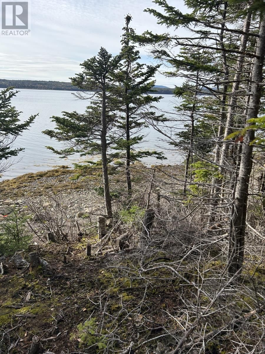  Smith Sound Road, HARCOURT, Newfoundland & Labrador A5A 3A1
