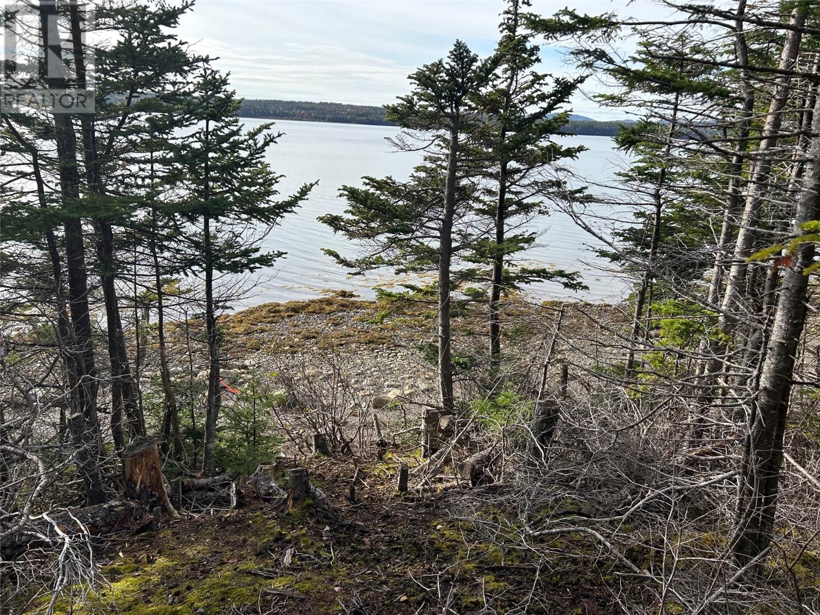 Lot # 03 SMITH SOUND Road, HARCOURT, Newfoundland & Labrador A5A 3A1