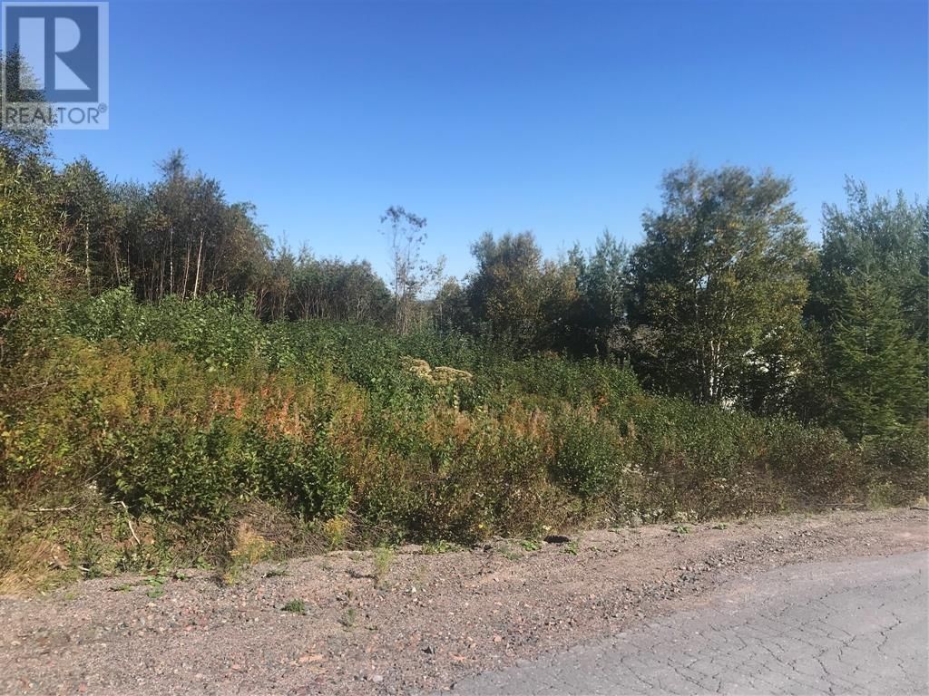 12 Random View Road, Milton-Georges Brook, Newfoundland & Labrador A5A 0L3
