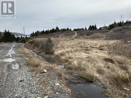7A Cotters Street, Carbonear, Newfoundland & Labrador A1Y 1A7