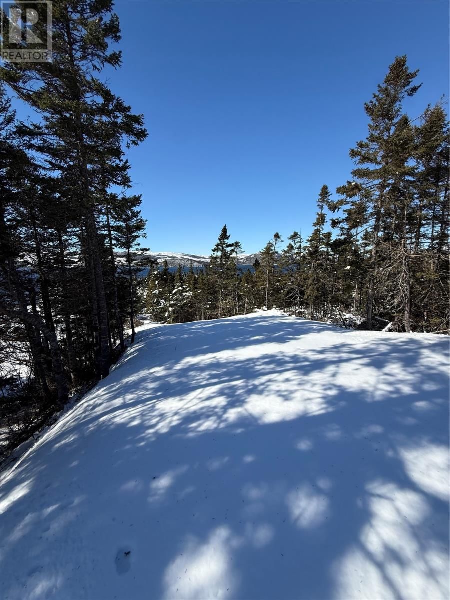  Main Road, Garden Cove, Newfoundland & Labrador A0E 1S0
