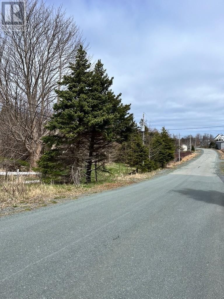 #81-89 Town Circle Road, Pouch Cove, Newfoundland & Labrador A0A 3L0
